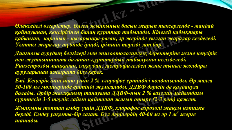 Slide 16