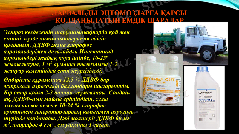 Slide 18