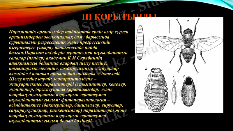 Slide 21