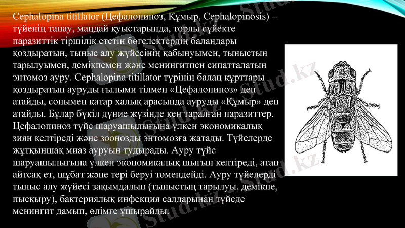 Slide 22