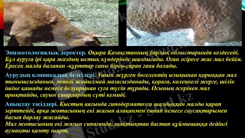 Slide 6