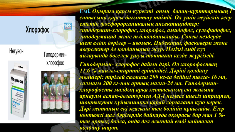 Slide 7