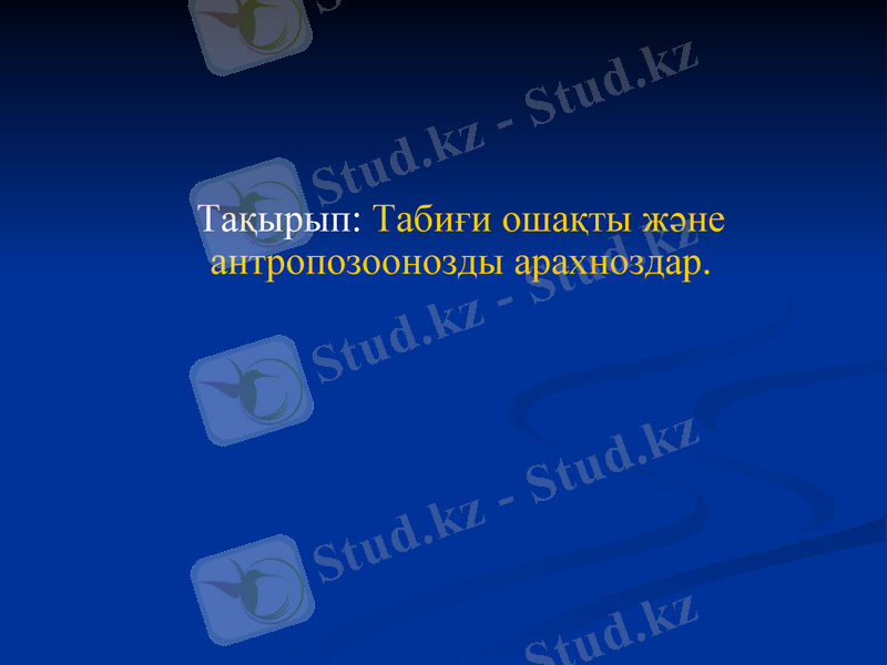 Slide 1