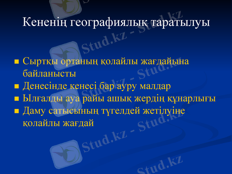 Slide 11