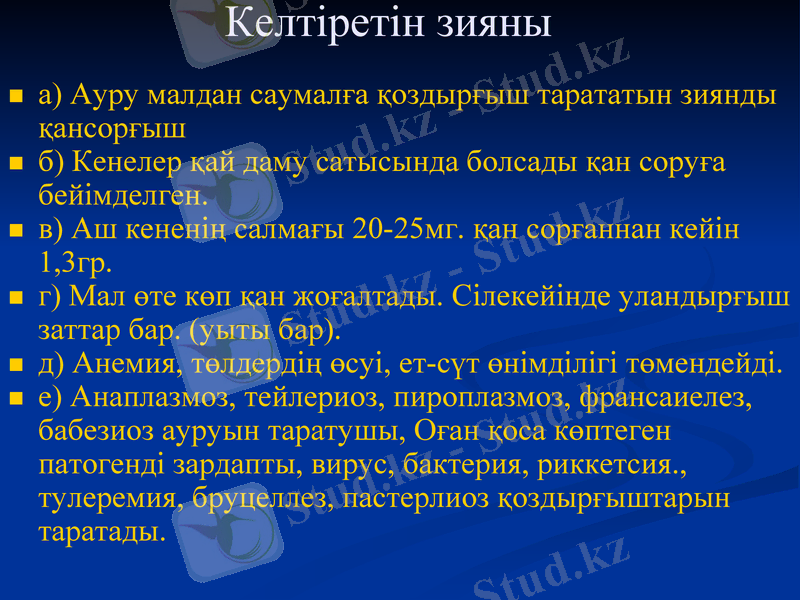 Slide 12