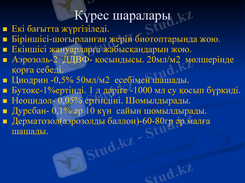 Slide 13