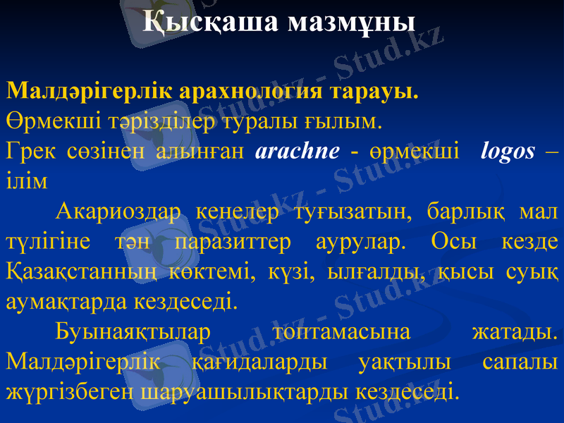 Slide 3