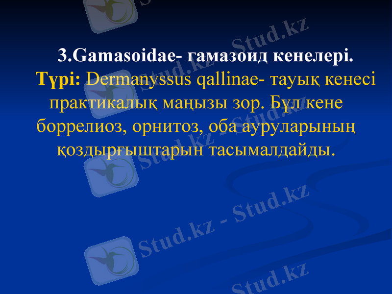 Slide 7