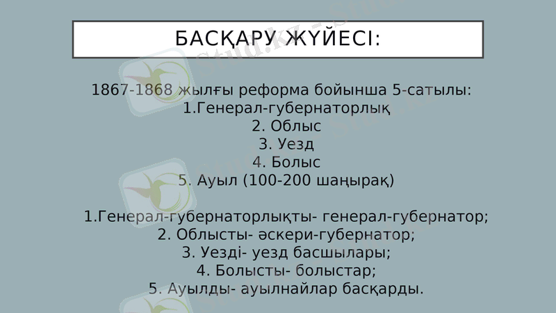 Slide 11