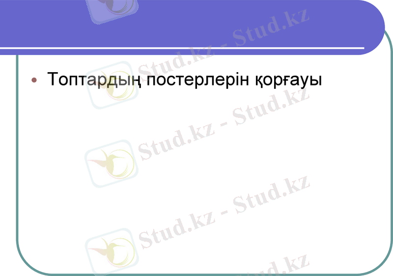 Slide 8