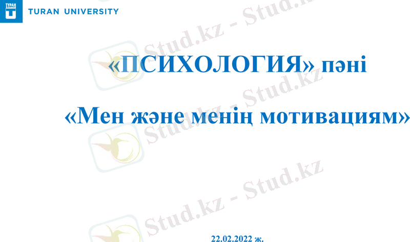 Slide 1