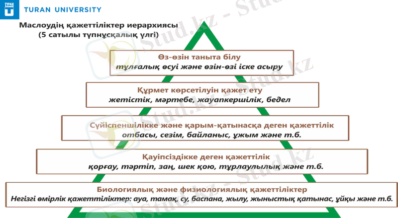 Slide 12