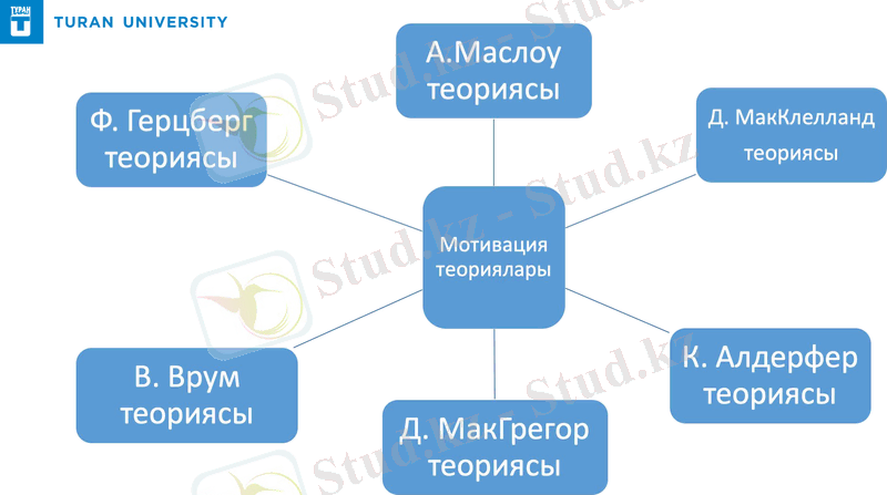 Slide 13