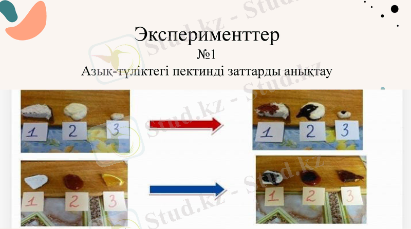 Slide 10