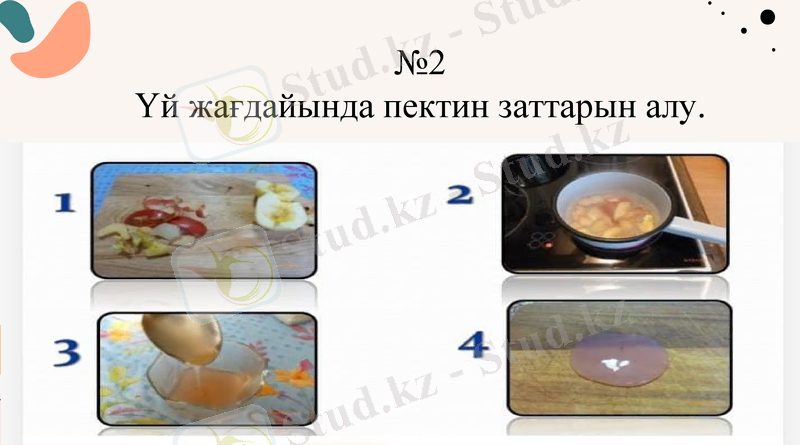 Slide 12