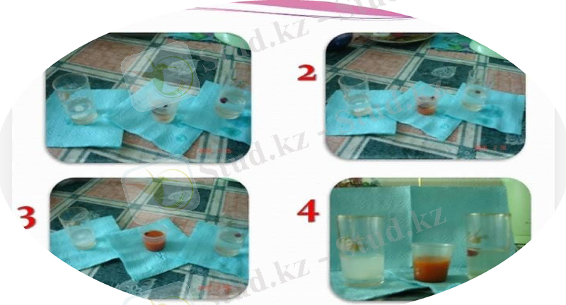 Slide 13