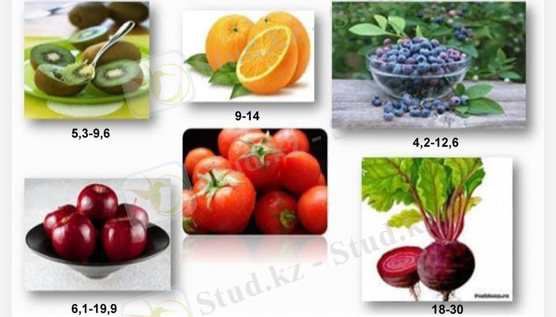 Slide 6