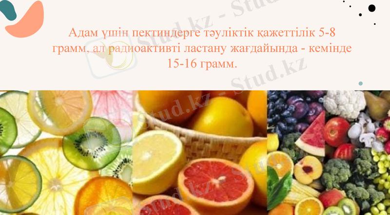Slide 7