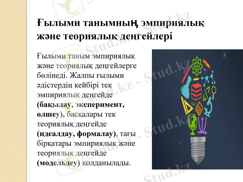 Slide 7