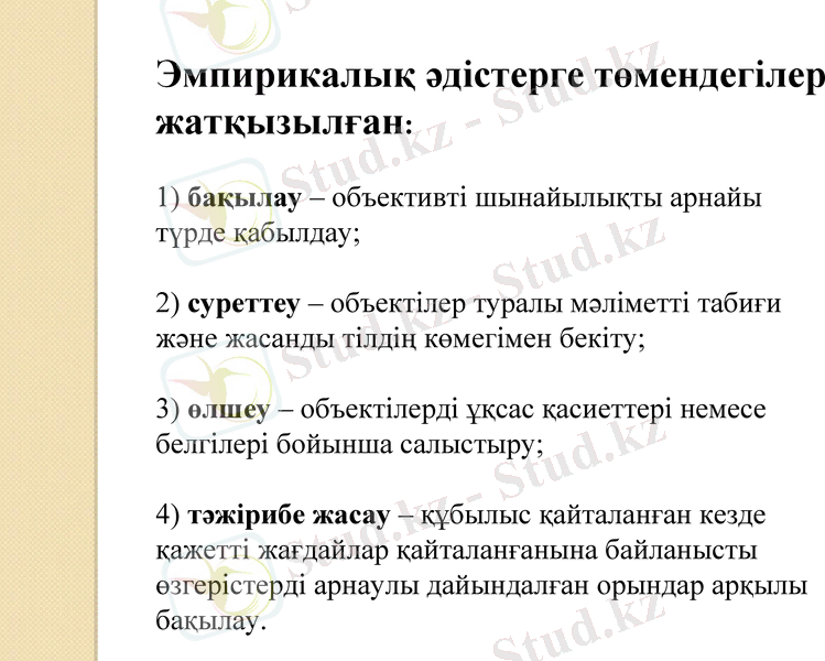 Slide 8