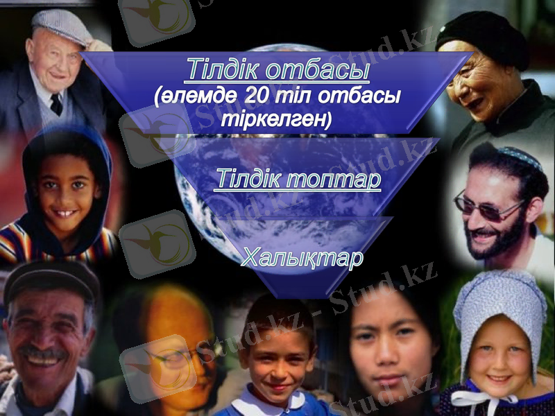 Slide 16