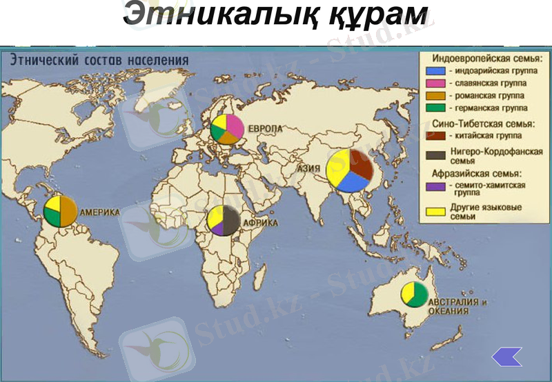 Slide 17