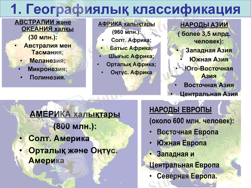 Slide 7