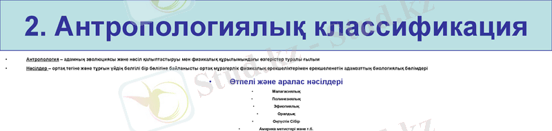 Slide 8
