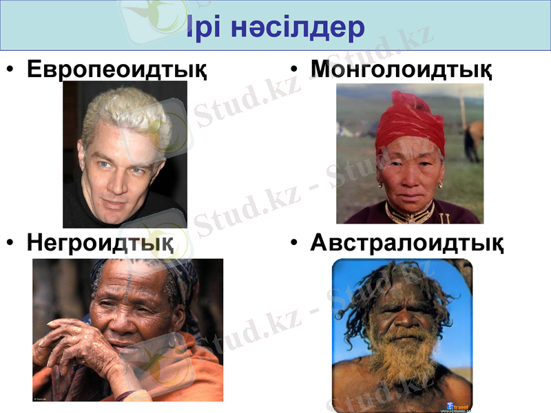 Slide 9
