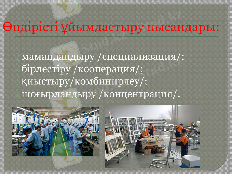 Slide 13