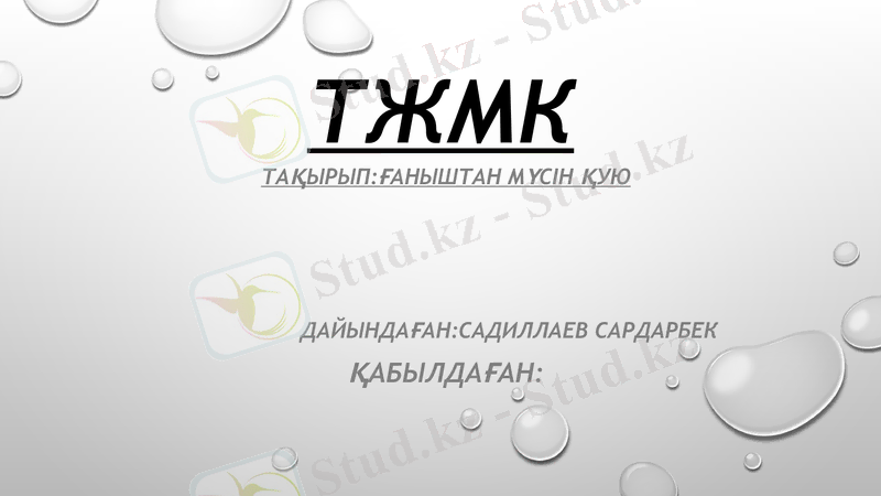 Slide 1