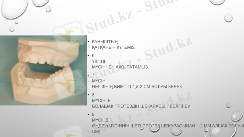 Slide 6