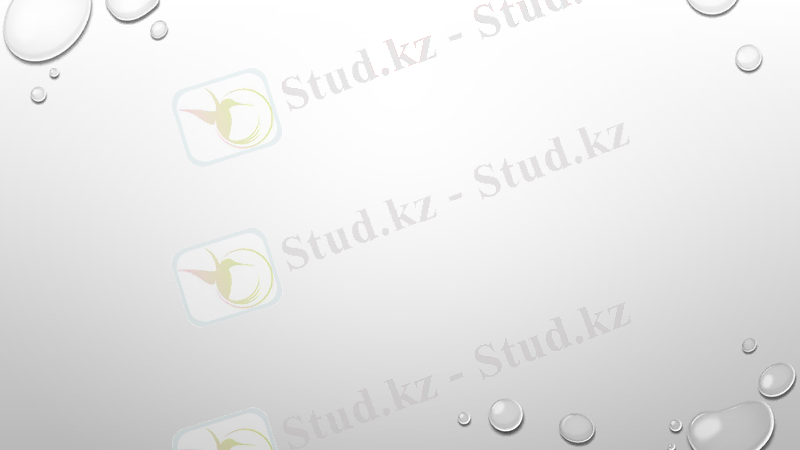 Slide 7