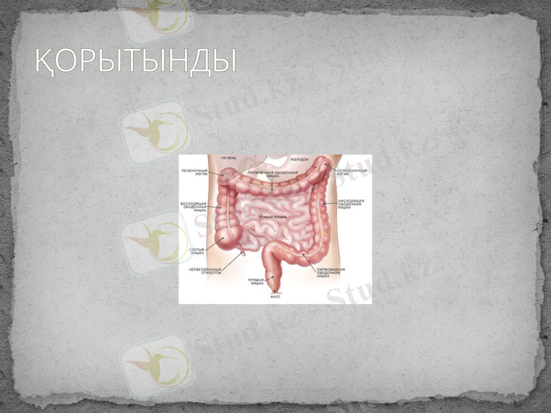 Slide 7