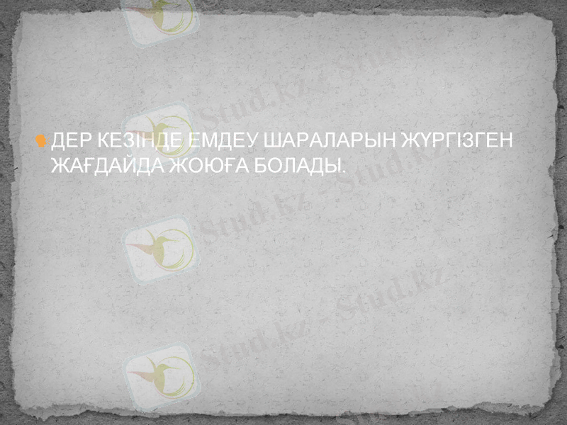Slide 8