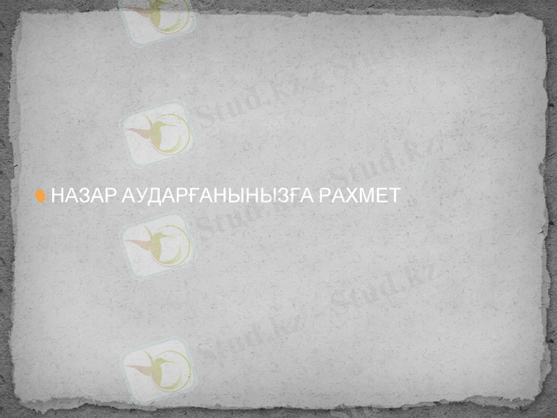 Slide 9