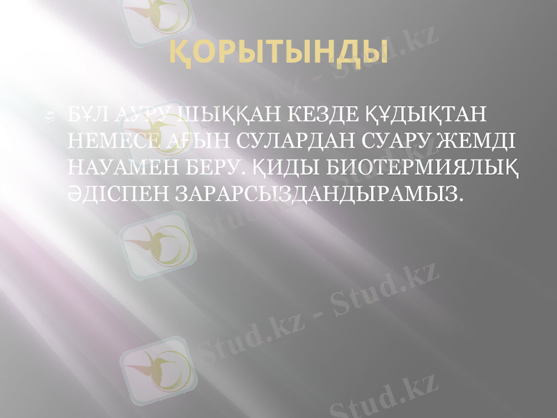 Slide 11