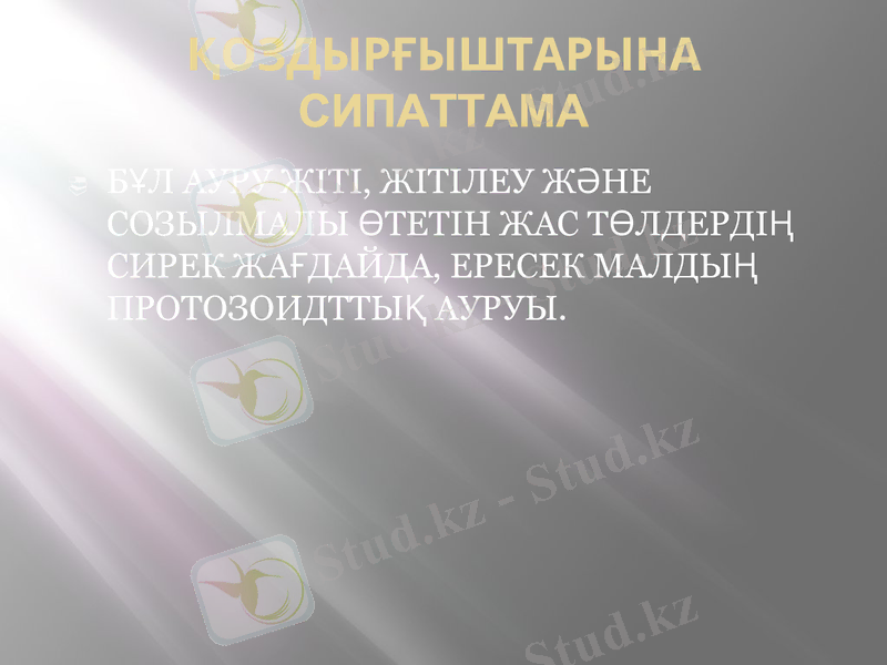 Slide 2