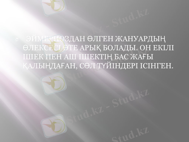 Slide 6