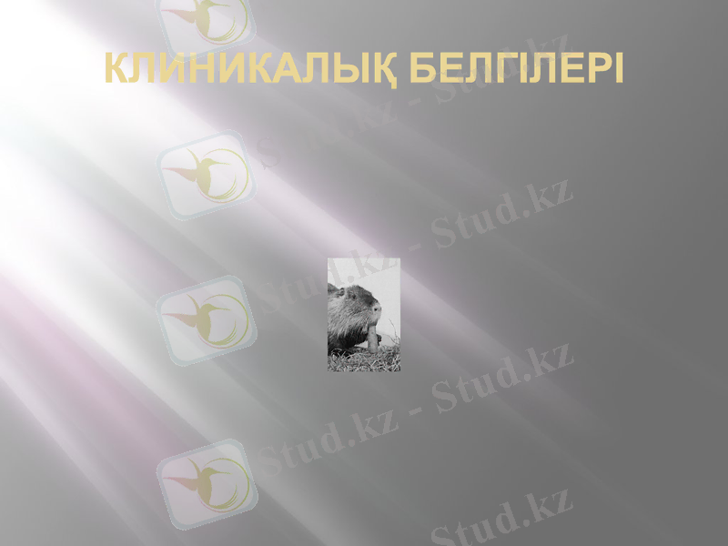 Slide 7