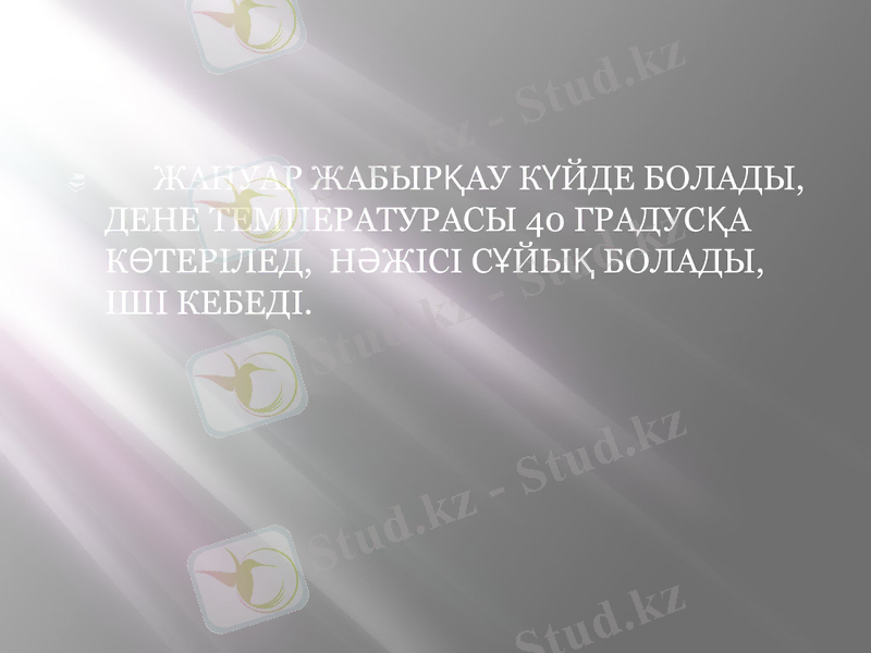 Slide 8