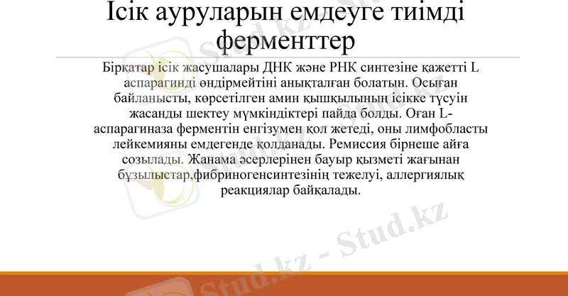 Slide 13