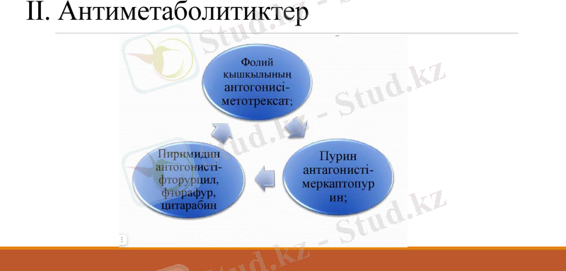 Slide 6