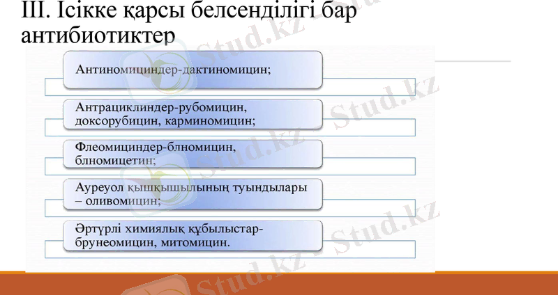 Slide 7
