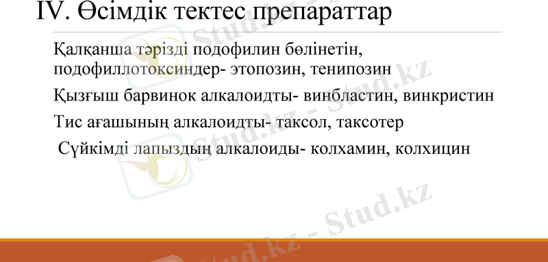 Slide 8