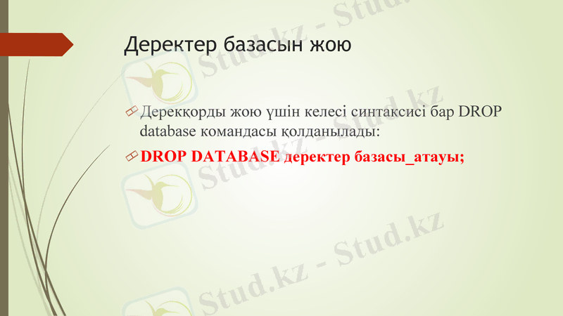 Slide 4