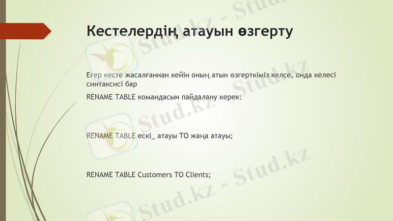 Slide 8