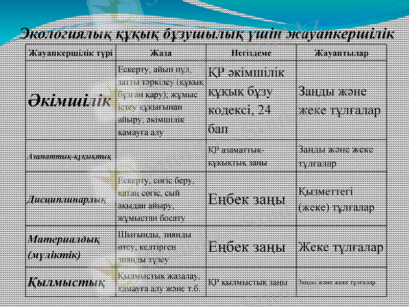 Slide 11