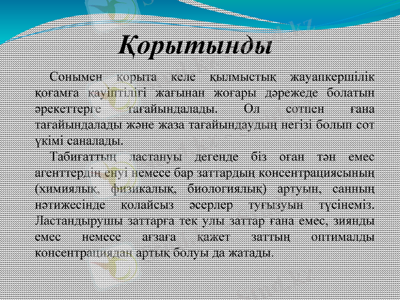 Slide 13
