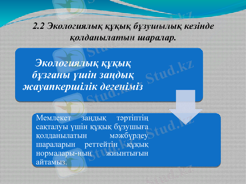 Slide 6
